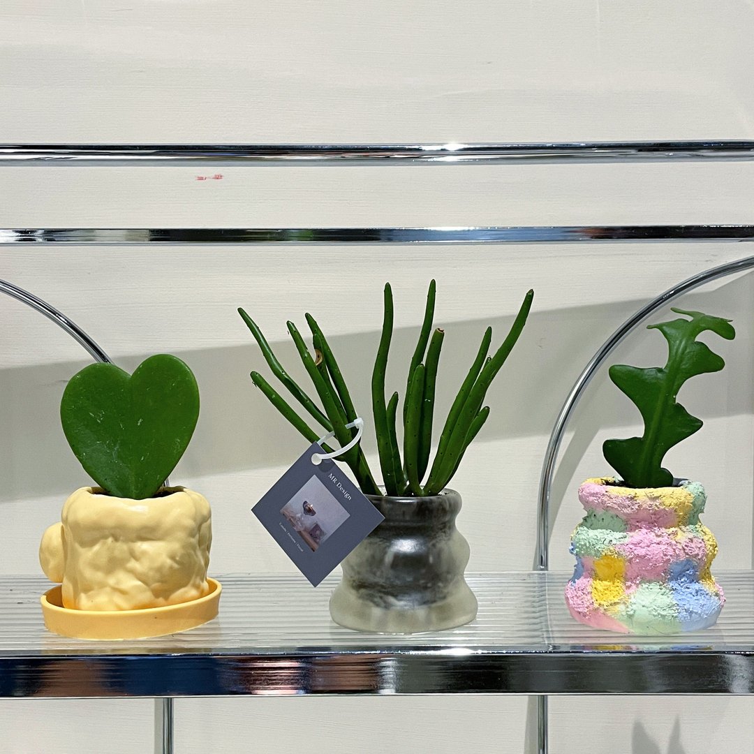 彩绘花器 + 植栽组盆 DIY手作体验课程 / 国父纪念馆站 - 植栽 - 精油 
