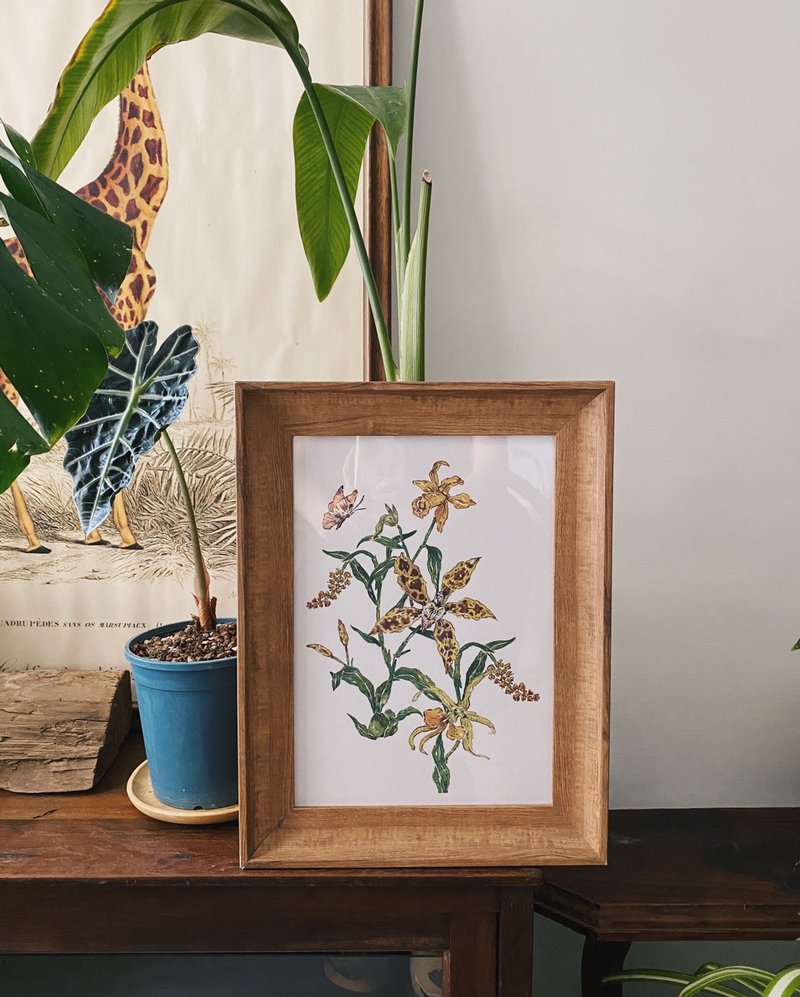 暖冬兰植物插画 A4 print 海报 不含框 可加购棉质束口袋 - 海报/装饰画/版画 - 纸 黄色