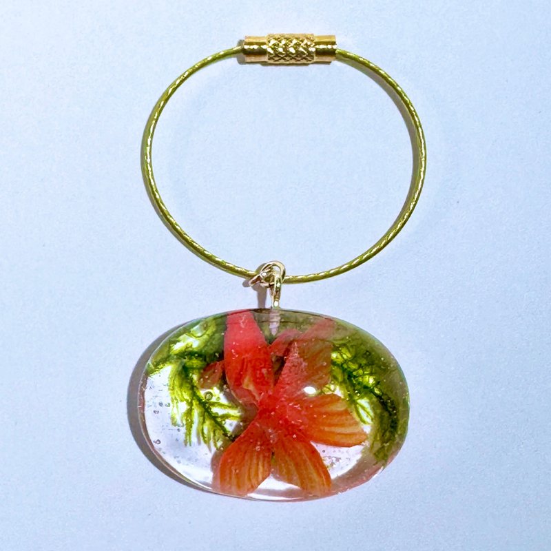 金鱼 钥匙圈 线圈钥匙环 - 钥匙链/钥匙包 - 树脂 红色