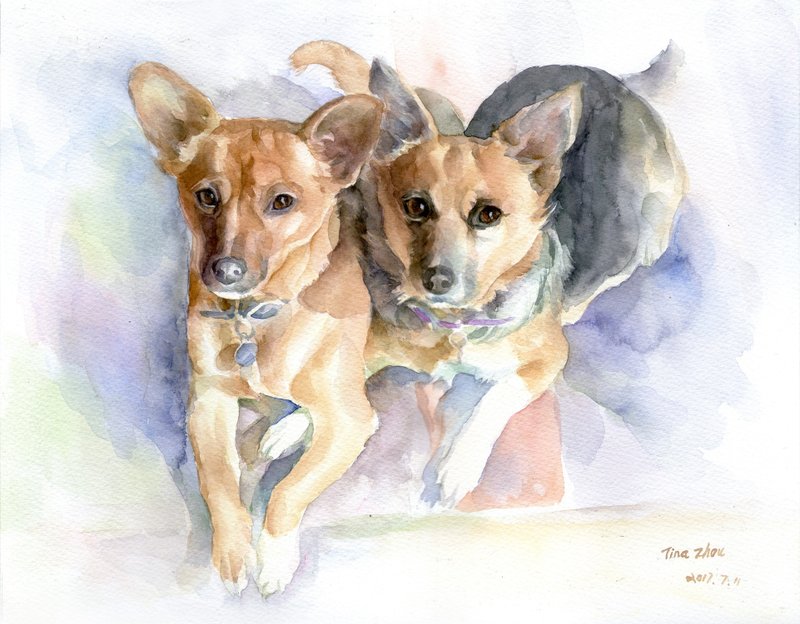 客制画像 水彩原画 宠物肖像定制画 似颜绘 毛孩 - 订制画像 - 纸 