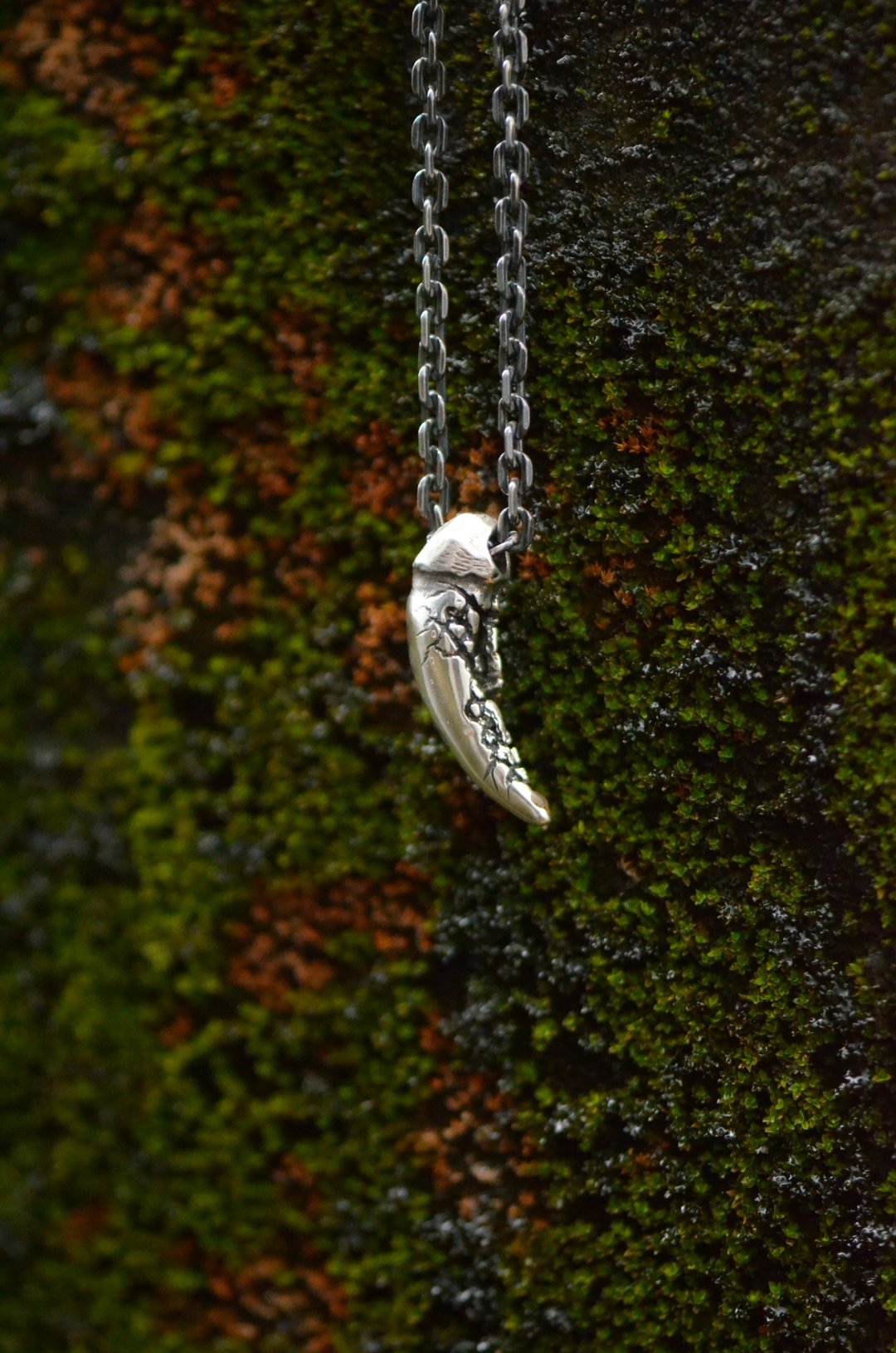 兽牙坠 Beast tooth pendant - 项链 - 银 银色