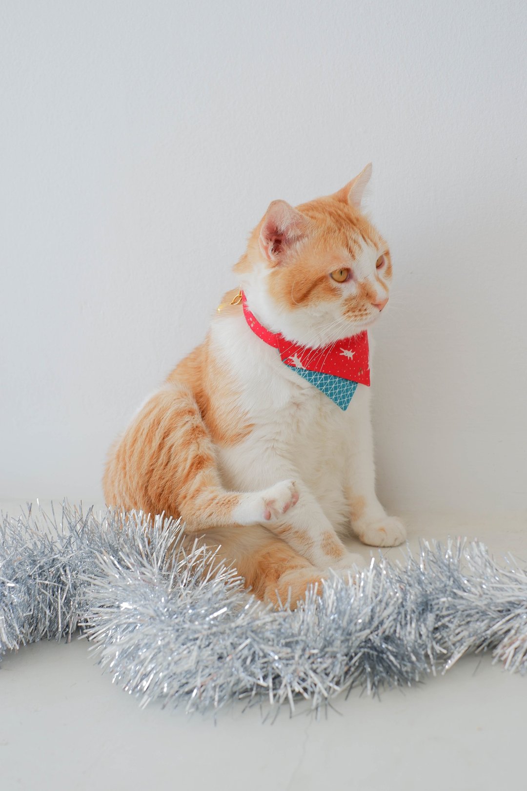 Breakaway cat collar : Let it snow collection / Two tones pattern : Red & Green - 项圈/牵绳 - 棉 红色