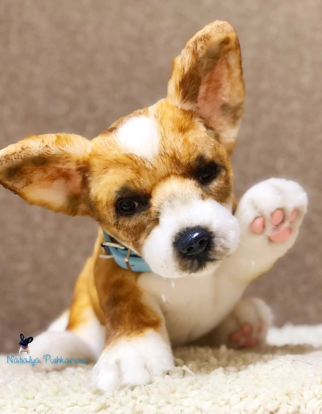 威尔士柯基犬彭布罗克小狗/狗逼真的玩具 - 玩偶/公仔 - 聚酯纤维 白色