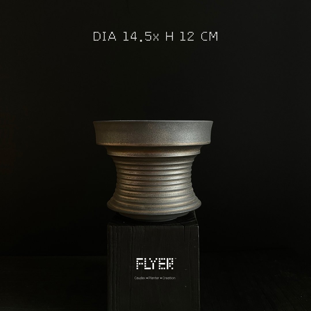 FLYER 块根多肉植物陶盆器 龙舌兰象牙宫象足漆树盆器 - 植栽/盆栽 - 陶 