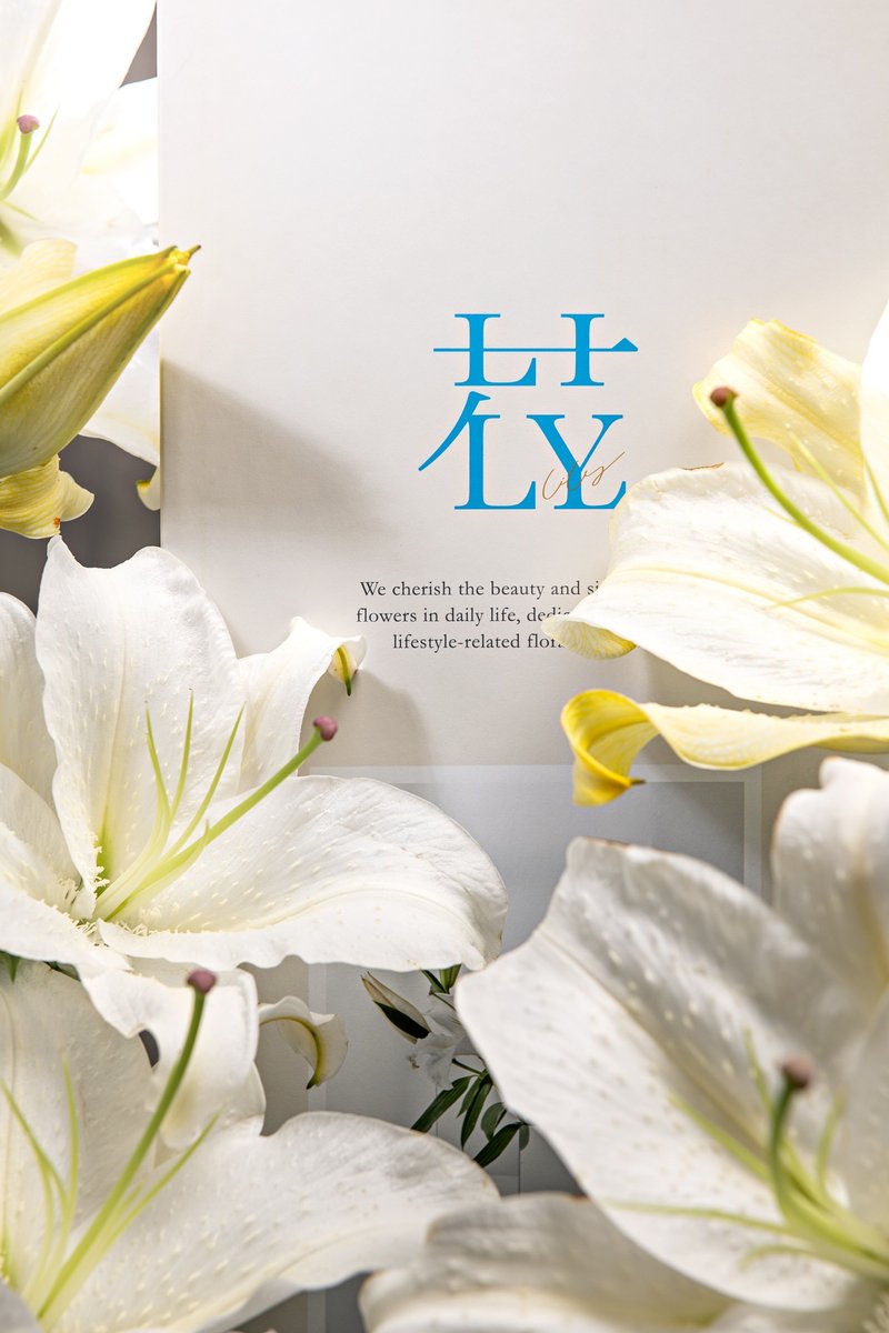 【预购商品】重瓣百合系列  B.花苞 - 植栽/盆栽 - 植物．花 