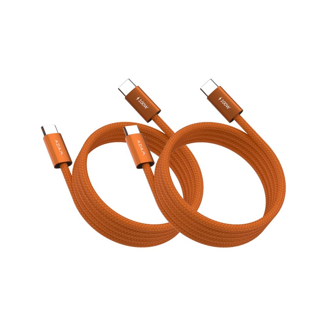 亚果园素 ( 一包装盒二入) iLinio C100 USB-C 100W 磁吸充电线 - 充电宝/传输线 - 其他材质 