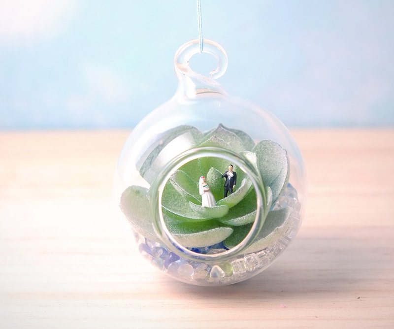 〈肉的罗曼史〉情侣 多肉 玻璃 琉璃  <Meat Romance> Couple glass succulent - 植栽/盆栽 - 水泥 绿色