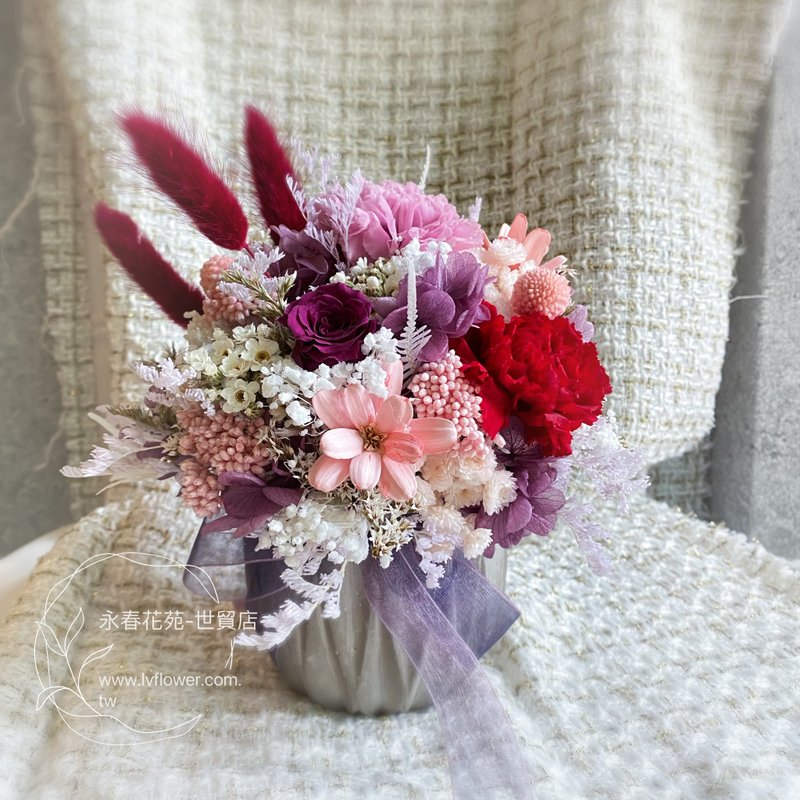 馨花漾 母亲节 永生康乃馨盆花 - 干燥花/捧花 - 植物．花 