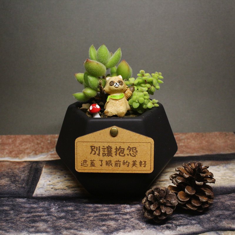 【多肉黑钻瓷盆-子猫之爪】盆栽/植栽/生日/刻字(附字牌) - 植栽/盆栽 - 瓷 绿色