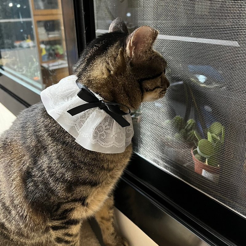 【定制化礼物】蕾丝领巾 猫咪领巾 猫领巾 宠物领巾 - 项圈/牵绳 - 棉 
