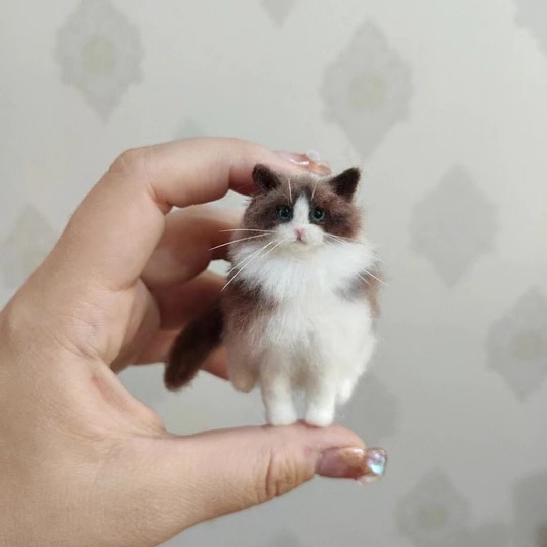 定制化礼物 逼真猫猫 羊毛毡 毛孩 宠物 娃娃 猫咪猫奴 似颜绘 s3 - 玩具 - 羊毛 多色