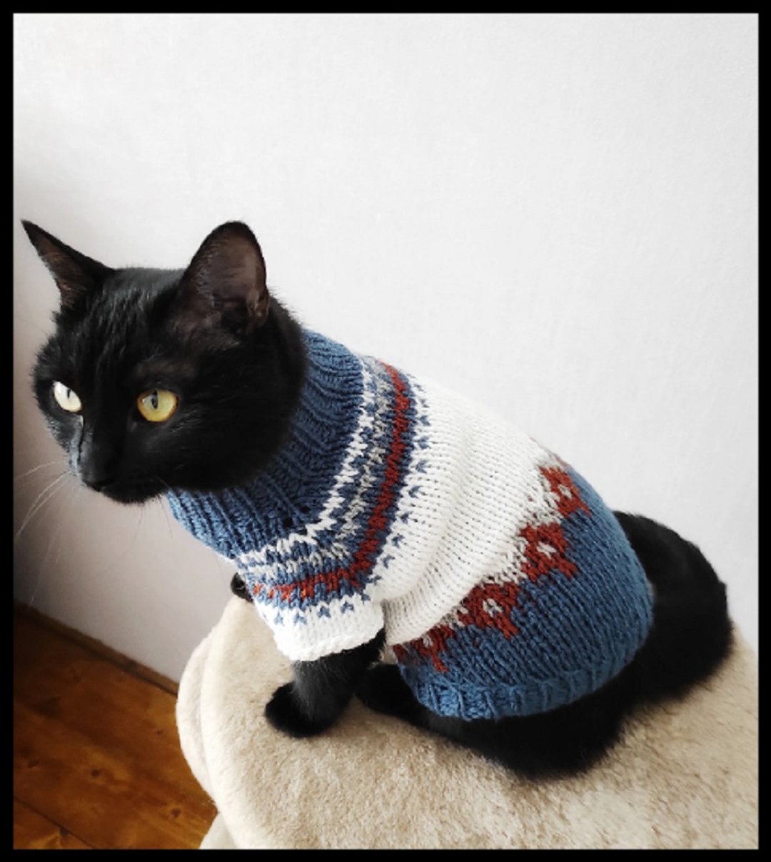 Sweater for cat sweater for pets Pet outfits Cardigan for pets Jumper for cats - 衣/帽 - 羊毛 