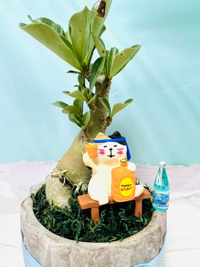 醉美的沙漠玫瑰 块根多肉植物 造型摆设盆 - 植栽/盆栽 - 塑料 银色