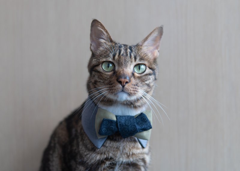 【和服・きもの系列】宠物领巾 猫咪/狗狗 和风 男生款 - 灰色 - 项圈/牵绳 - 棉．麻 灰色