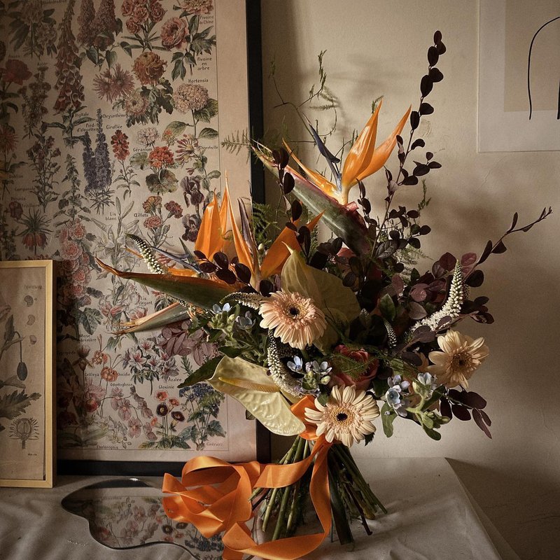 天堂鸟 鲜花花束  捧花 橘黄色 简约包装 - 植栽 - 植物．花 多色