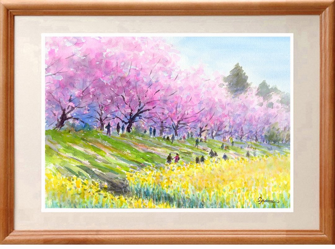 Original watercolor painting Sakuratsutsumi and rape blossoms - 海报/装饰画/版画 - 纸 