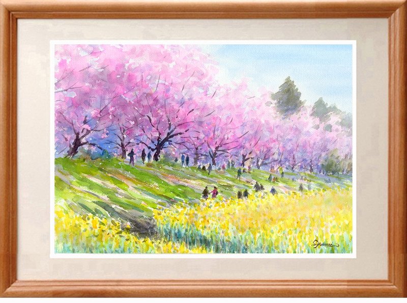 Original watercolor painting Sakuratsutsumi and rape blossoms - 海报/装饰画/版画 - 纸 