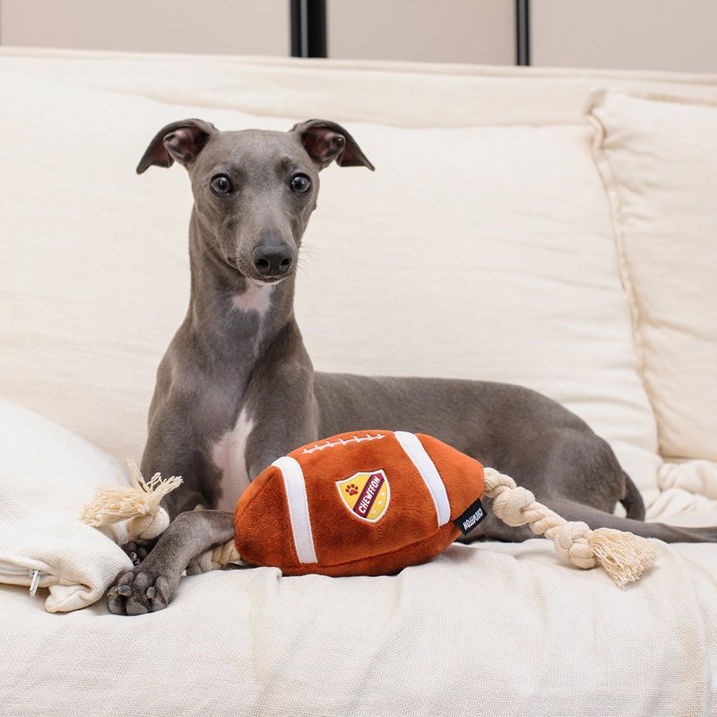 【狗玩具】 CHEWFFON 橄榄球绳 - 玩具 - 其他材质 