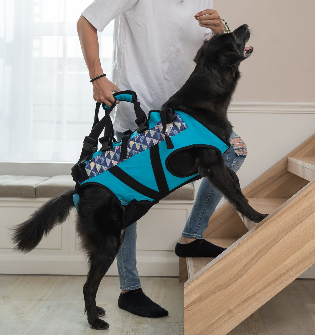 宠物辅助衣  一般款 M号款 高龄犬 行动不便 宠物辅具 协助行走 - 其他 - 其他人造纤维 