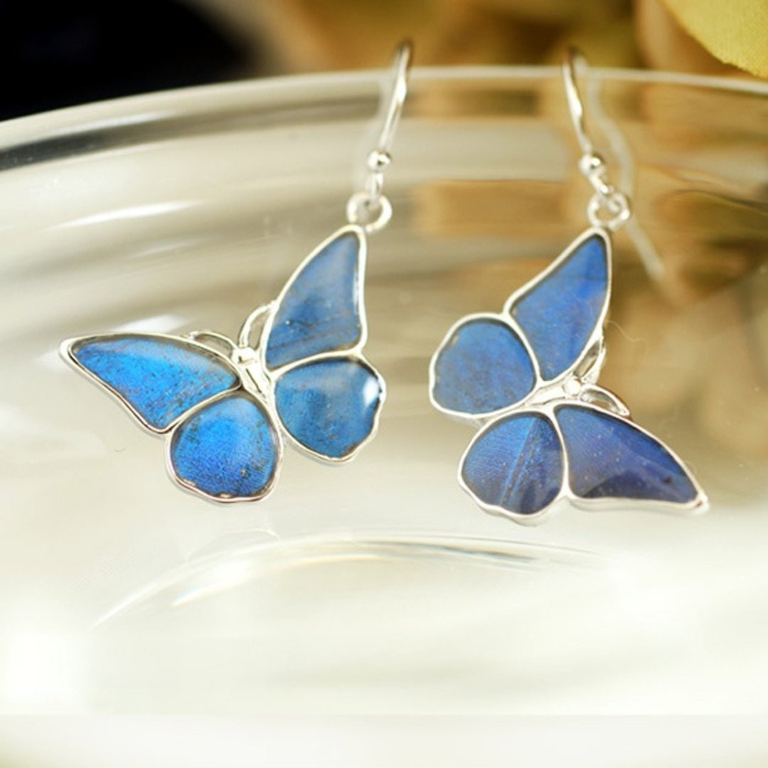 Morpho butterfly small earrings SILVER - 耳环/耳夹 - 纯银 蓝色