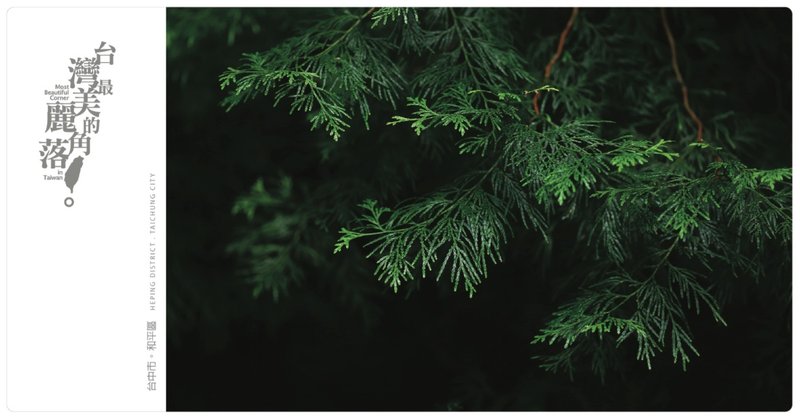 【eyeDesign 看见设计】台湾最美丽的角落明信片－幽静的森林 - 卡片/明信片 - 纸 绿色