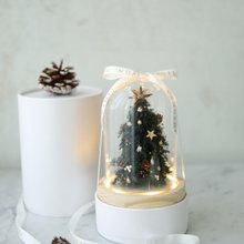 静谧森林 圣诞树 圣诞礼物 日本永生松 交换礼物 圣诞装饰永生花