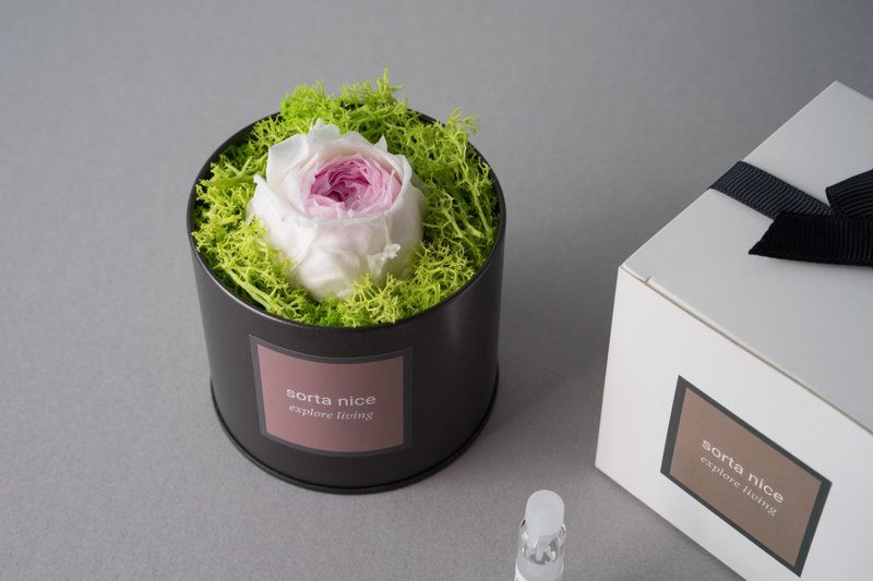 天然扩香 Claire Austin玫瑰 植物香氛系列 - 香薰/精油/线香 - 植物．花 粉红色