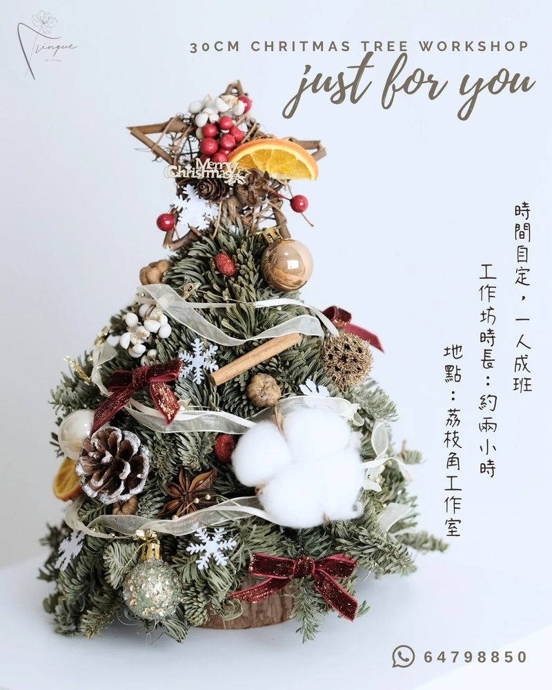 新鲜贵族松30cm圣诞树手作工作坊 - 植栽 - 植物．花 