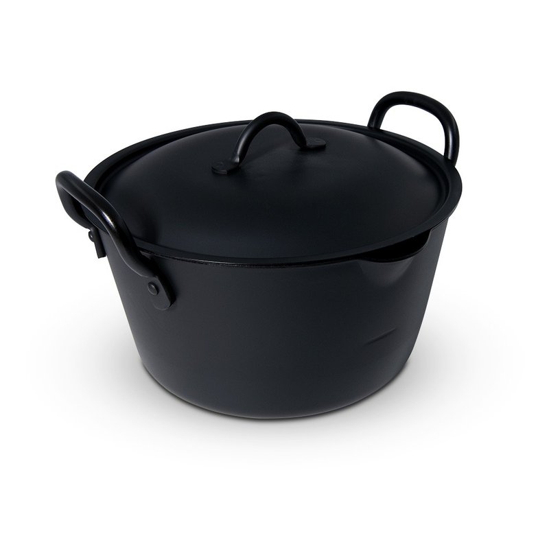 日本Summit-日本燕三条制铁流 铁炸锅系列 双柄高身连盖炸锅 20cm - 厨房用具 - 其他金属 