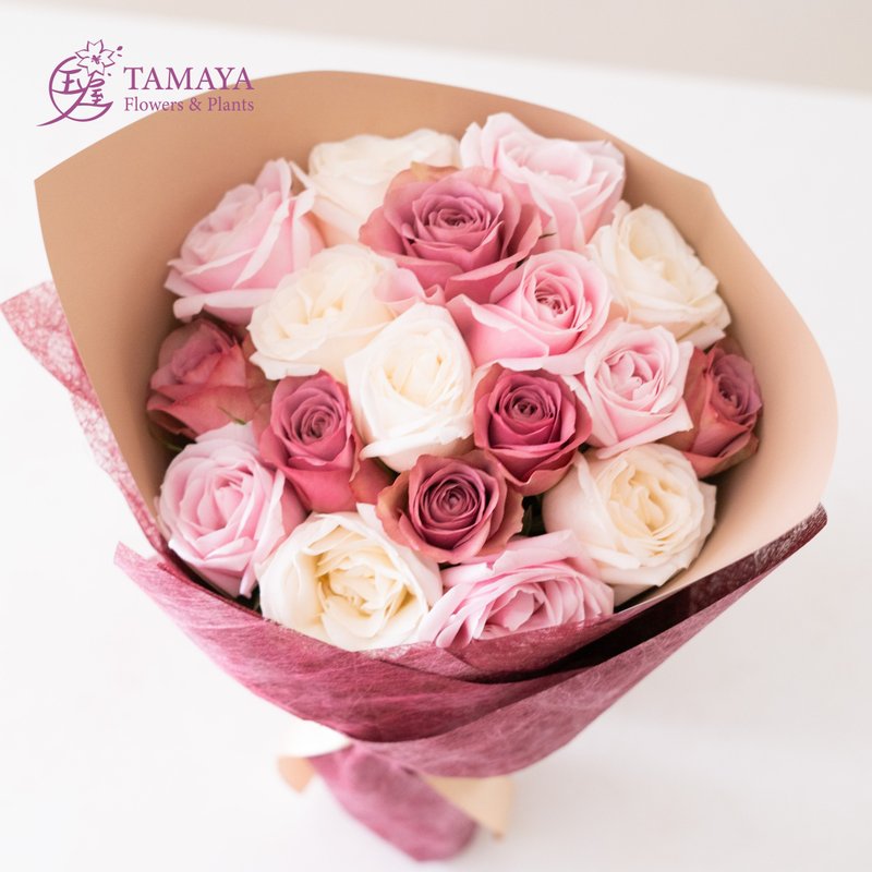 蜜语 x 纯爱 x 星芒 18朵 - 植栽/盆栽 - 植物．花 紫色