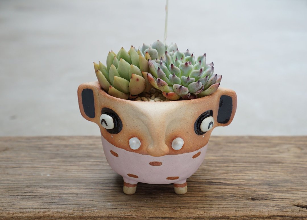 Elephant plant pot small plant pot cactus succulent bonsai - 植栽/盆栽 - 陶 粉红色