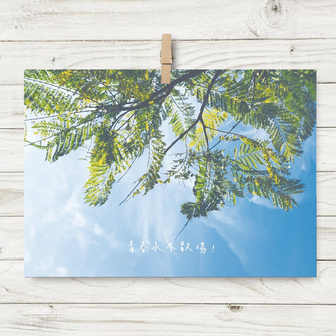 青春永不散场 / 明信片 (G3) - 卡片/明信片 - 纸 蓝色