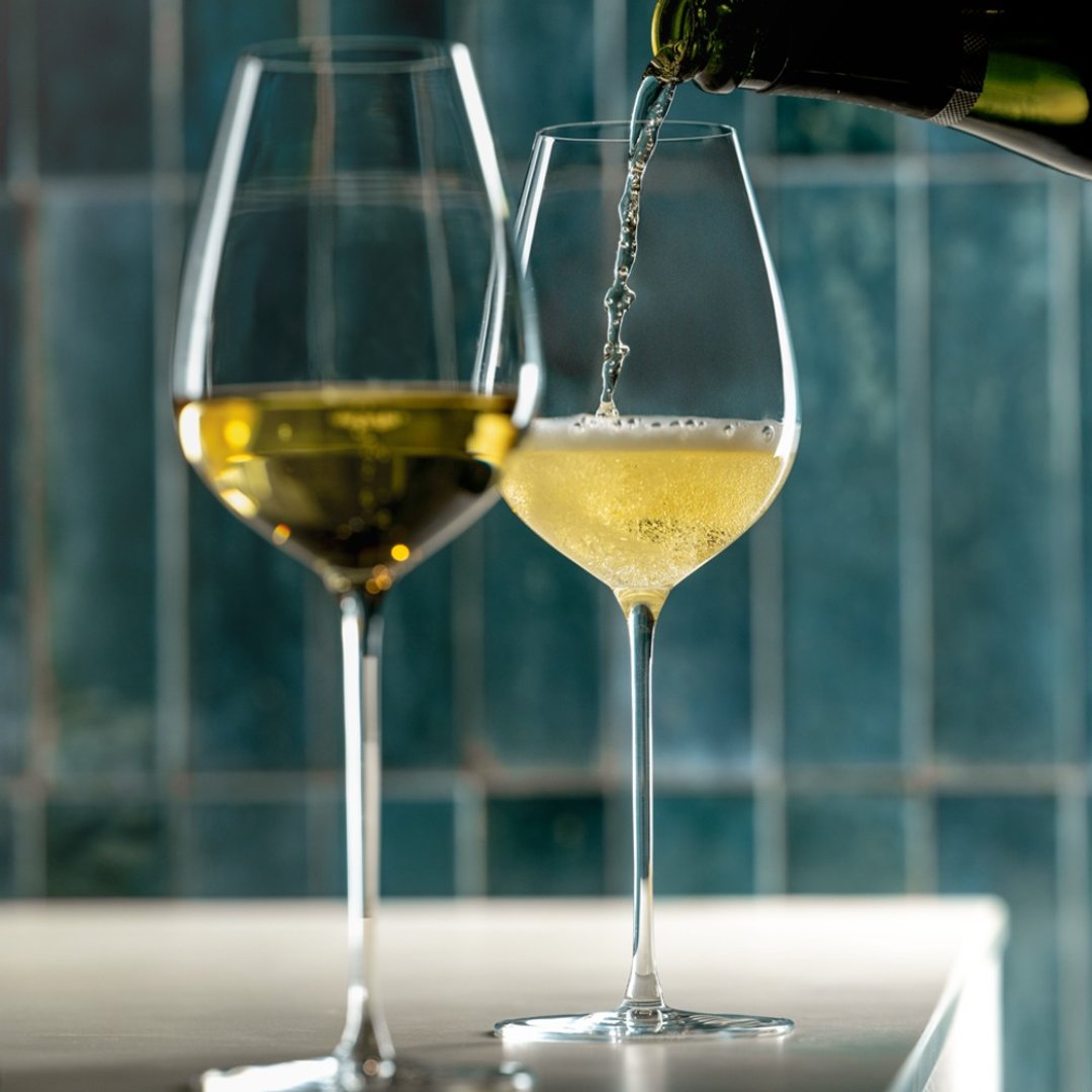 【法国Lehmann】 Hommage 通用杯 红酒杯 白酒杯 450ml - 酒杯/酒器 - 玻璃 