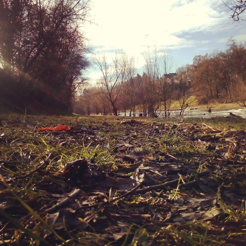 维瑟河的秋天│Autumn at Wiese│英国冲印│精致裱褙│2025 - 海报/装饰画/版画 - 纸 绿色