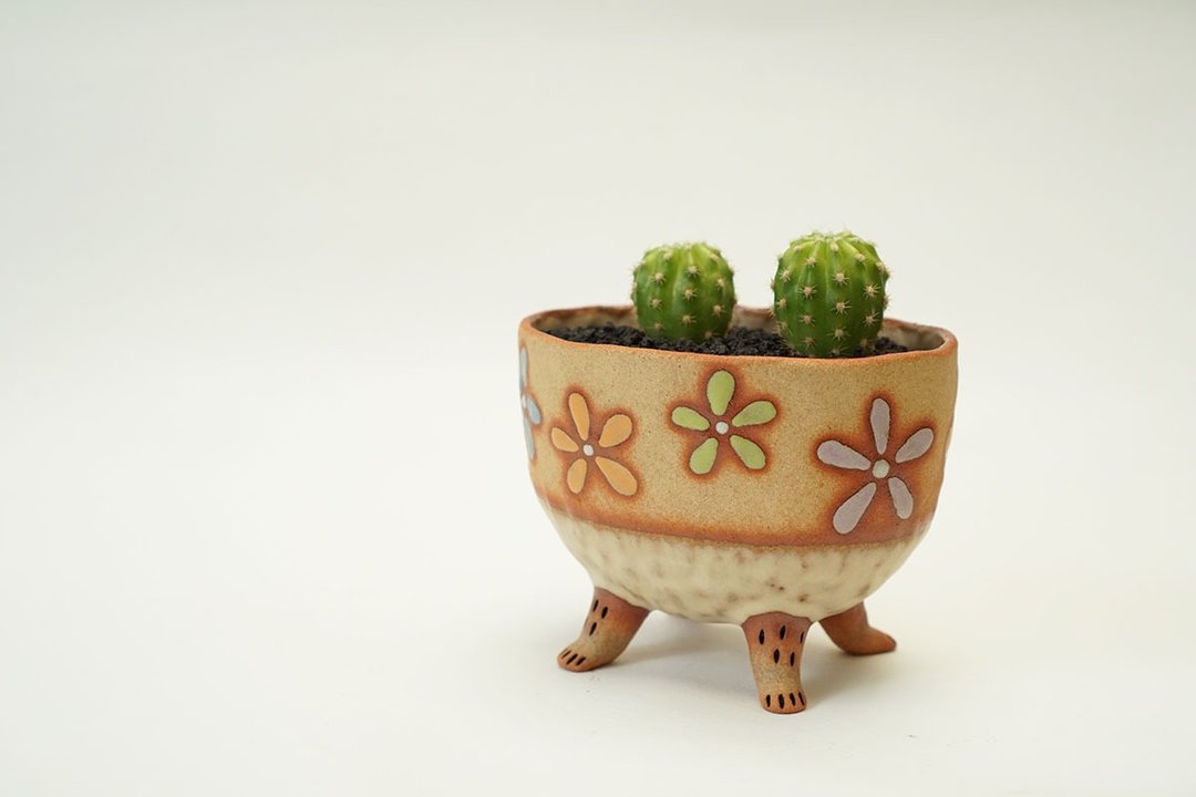4 legged plant pot ,legged standing plant pot, succulent , flower pot , ceramic - 花瓶/陶器 - 陶 多色