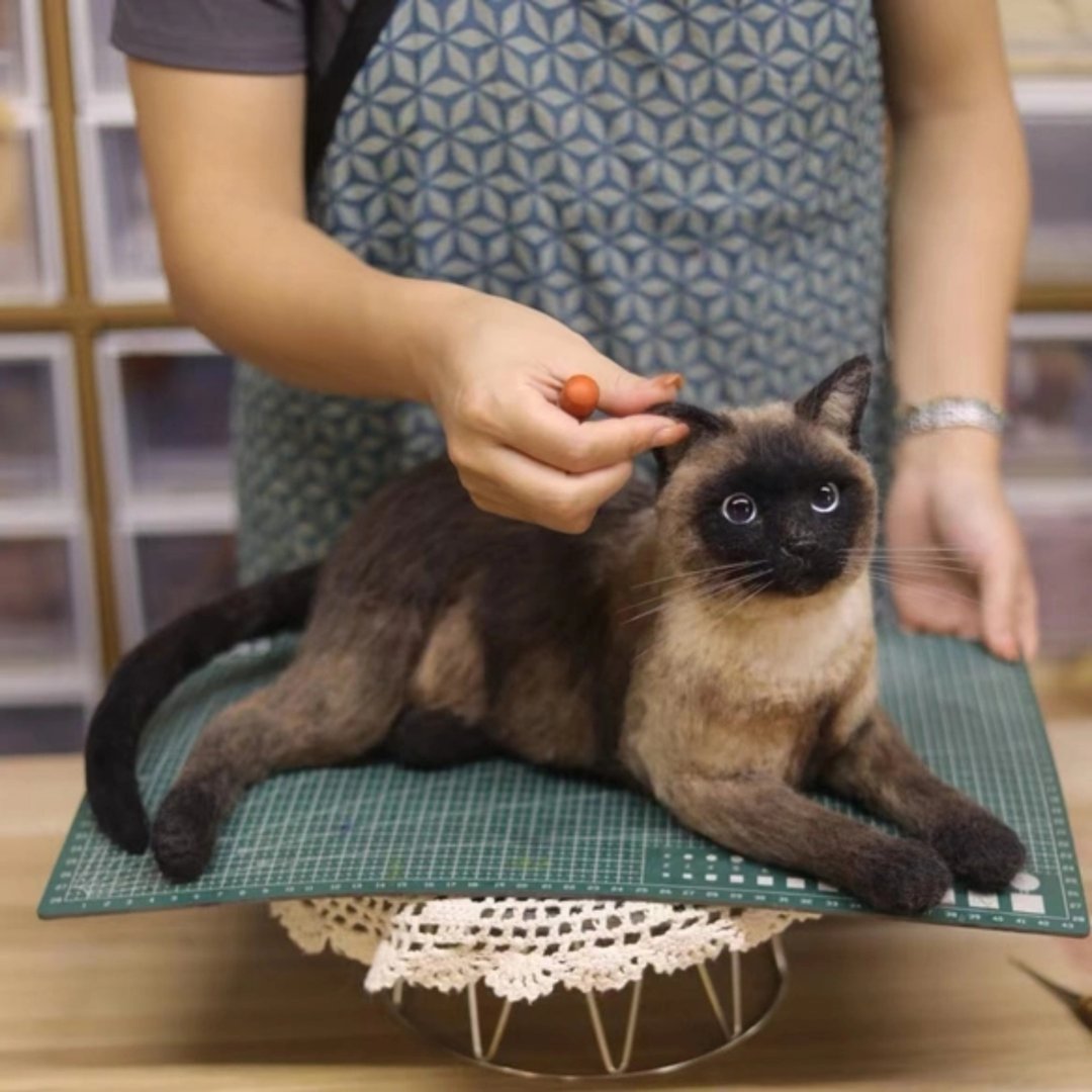 照片定制猫咪羊毛毡公仔 毛孩生日礼物 - 订制抱枕/饰品 - 羊毛 多色