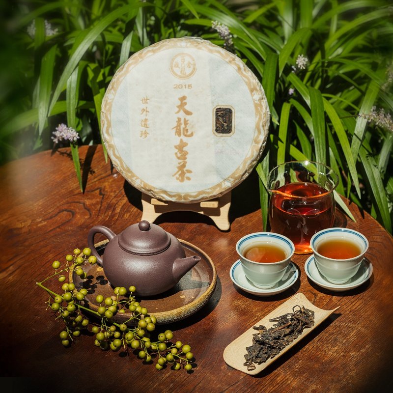 寒露私房茶—天龙古茶 - 茶 - 纸 