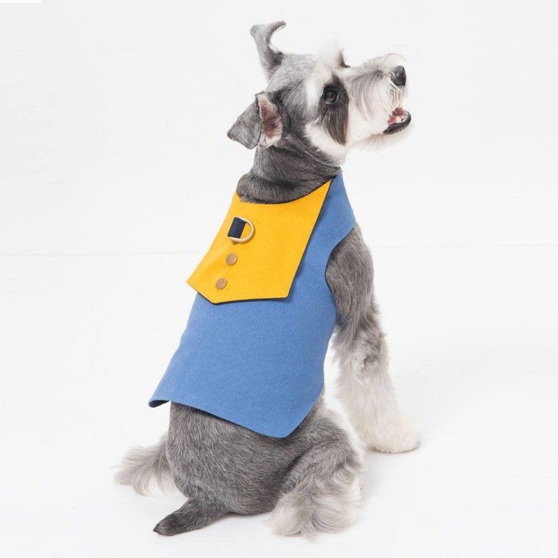 胸背衣 彩色方块 Orange Blinks 翻糖蛋糕 XS/S/M/L (XS/S/M完售) - 衣/帽 - 棉．麻 