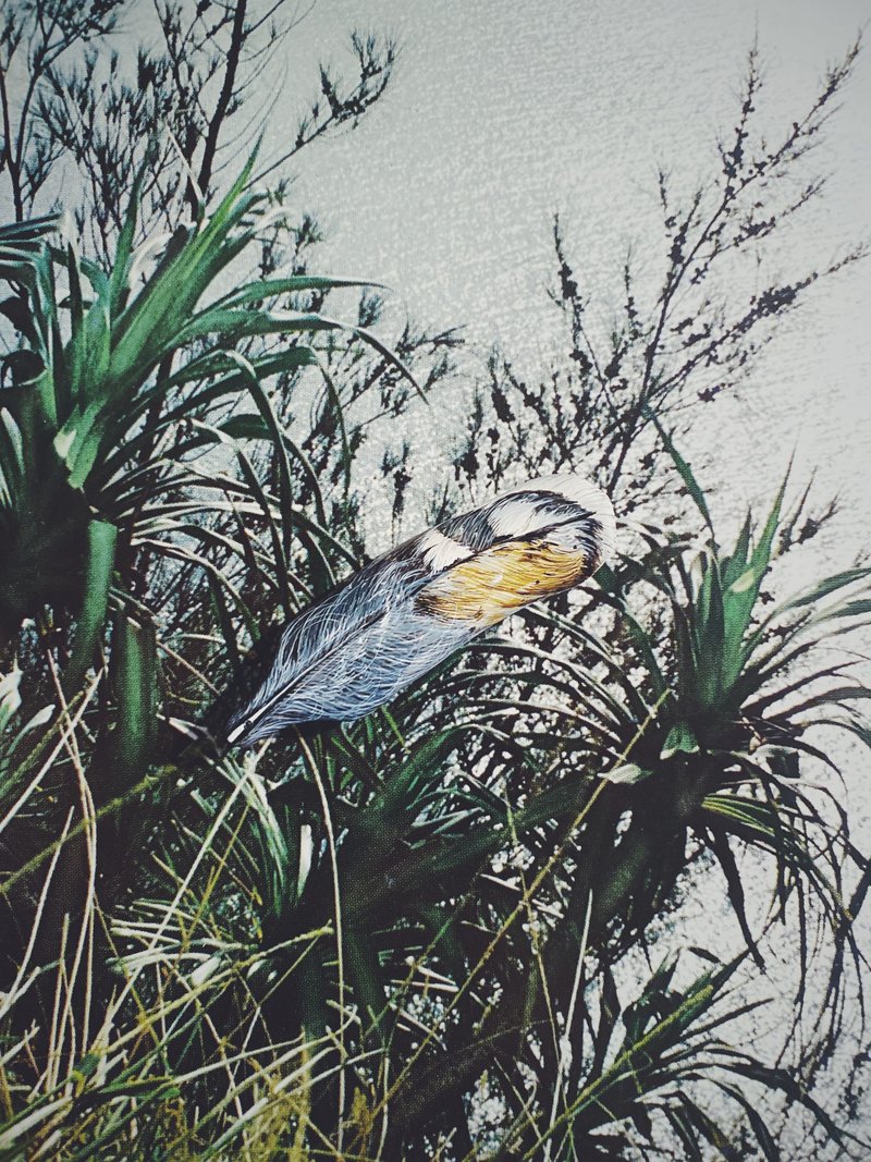 木刻手绘坠饰 - 羽毛 - 其他 - 木头 黄色