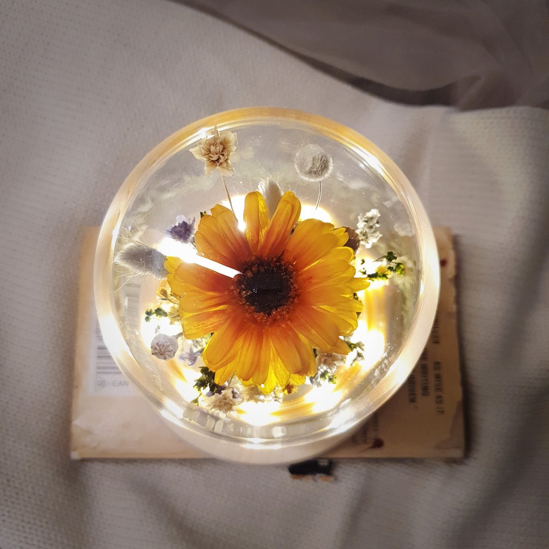 向日葵玻璃罩 夜灯款 永生花 毕业礼物 小太阳 快速出货 - 干燥花/捧花 - 植物．花 黄色