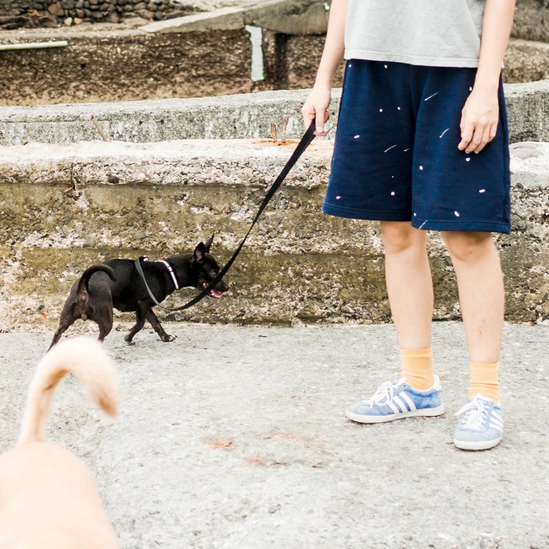 可怜虫折扣品 - 流星 / 五分裤子 / 全纯棉大绒布 - 女装长裤 - 棉．麻 蓝色