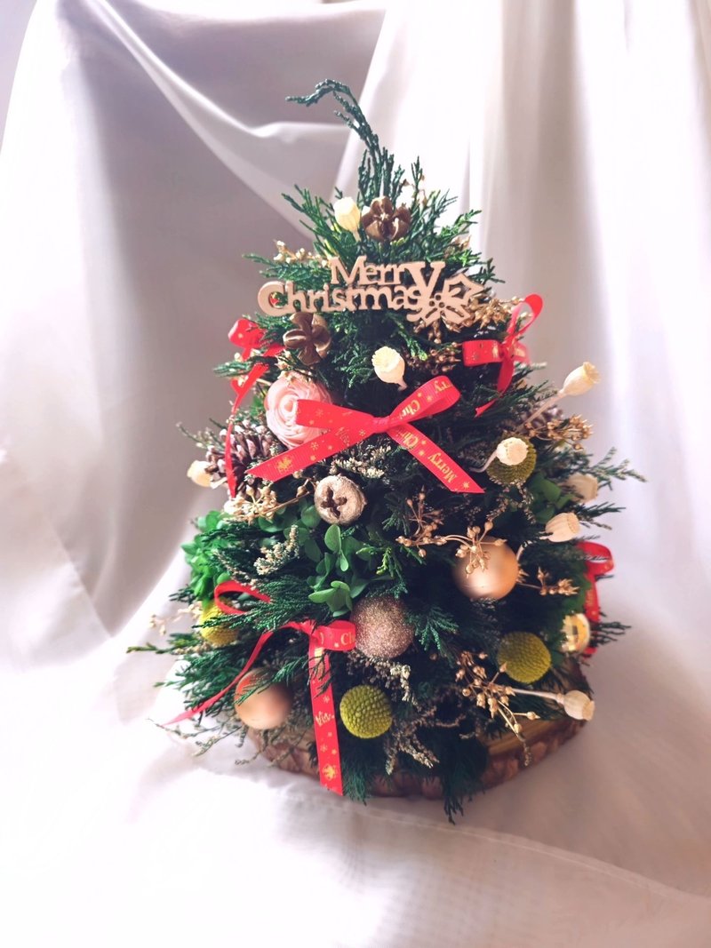 永生扁松柏-圣诞树 - 摆饰 - 植物．花 