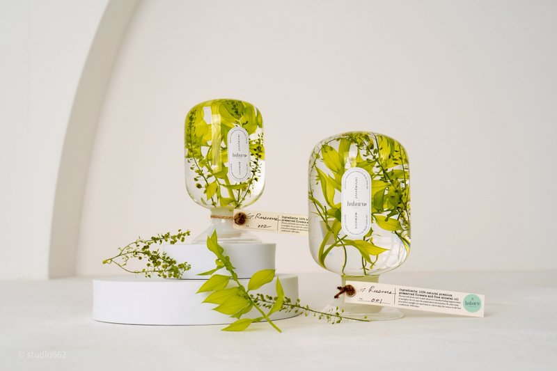 + HUHURU + 植光之境花艺瓶－Green Ruscus假叶树 - 干燥花/捧花 - 玻璃 绿色