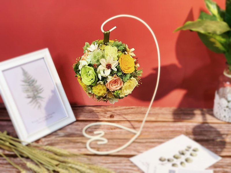 幸福花球、花球树 - 干燥花/捧花 - 植物．花 红色