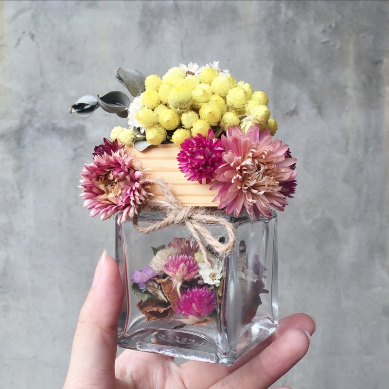 蜡菊 法国白梅 干燥花 玻璃瓶罐 - 植栽/盆栽 - 植物．花 多色