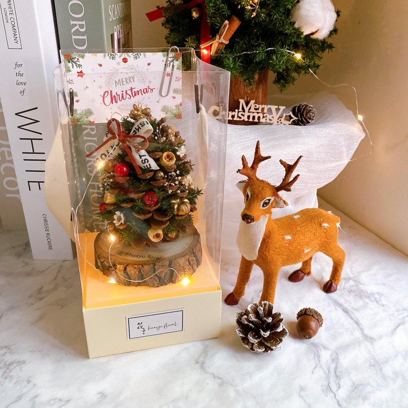 永生花 永生雪松 圣诞树 松果 交换礼物 圣诞礼盒 圣诞节 布置 - 干燥花/捧花 - 植物．花 绿色