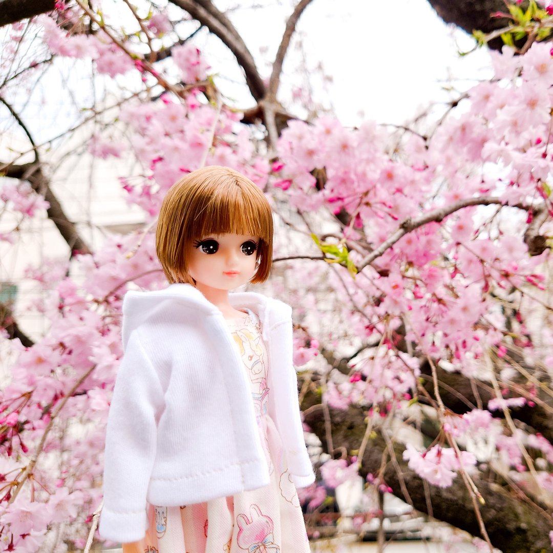 Licca-chan 衣服连帽衫 有 2 种颜色可供选择 - 玩偶/公仔 - 棉 白色