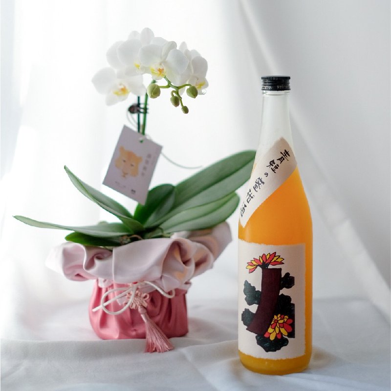 /新年限定/ 兰花 x 挥春花果酒贺年福袋 - 酒类 - 植物．花 白色