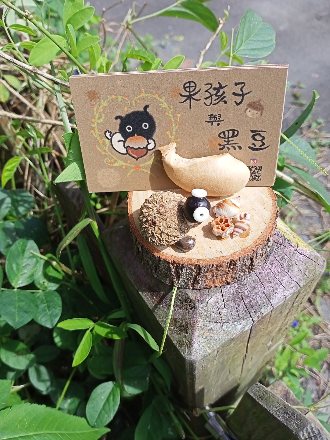 海龟与鲸鱼名片便条纸座 - 植栽 - 植物．花 