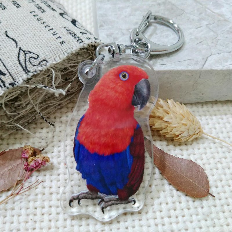 折衷鹦鹉_红-压克力吊饰(钥匙圈)-双面图案-新厂商 - 钥匙链/钥匙包 - 压克力 